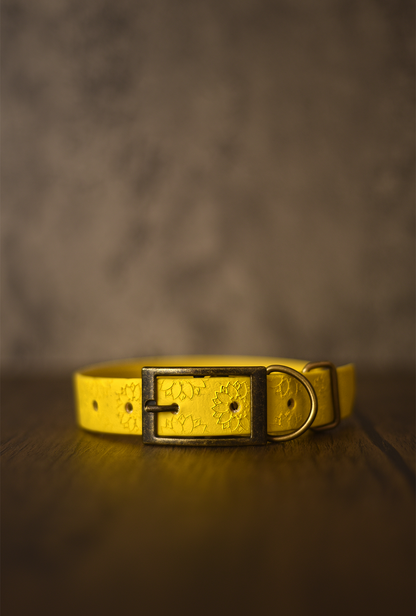 DYO Sunflower Meadow - Embossed Explorer Collar