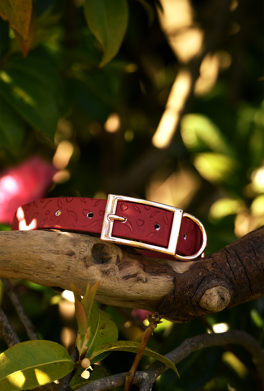 Sweet and Spicy - Embossed Explorer Collar