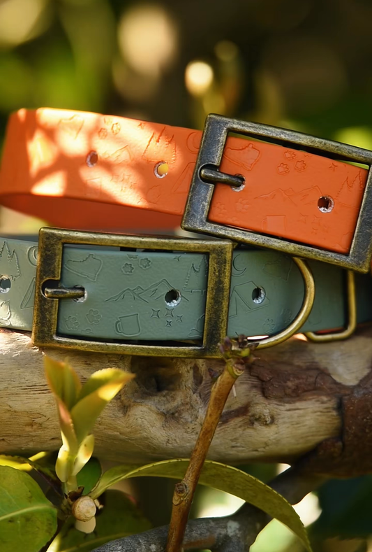DYO Happy Camper - Embossed Explorer Collar