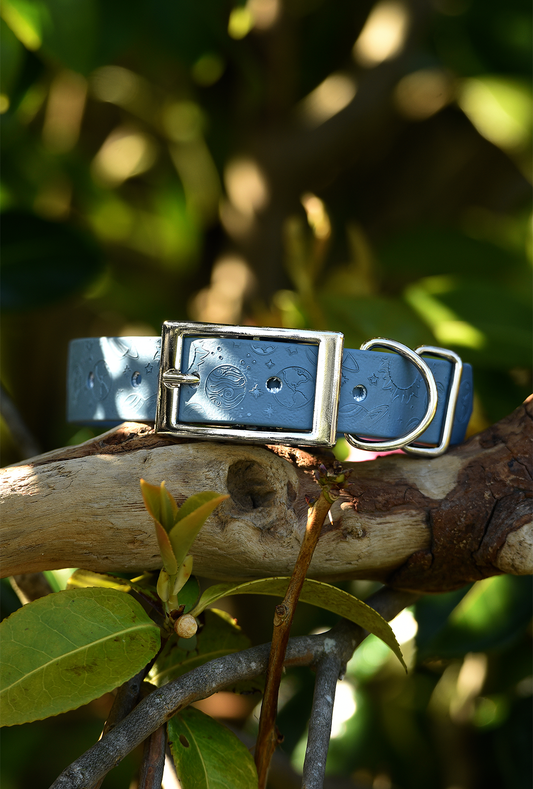DYO Solar Flare - Embossed Explorer Collar