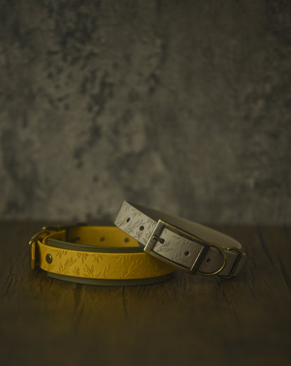 La Oliva - Embossed Hound Collar