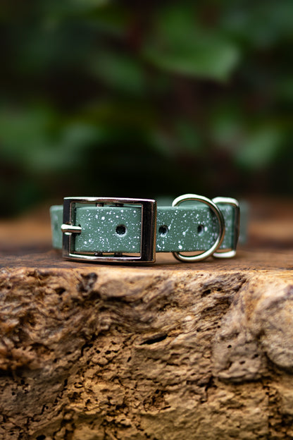 Mystery Speckled Stars Explorer Collar