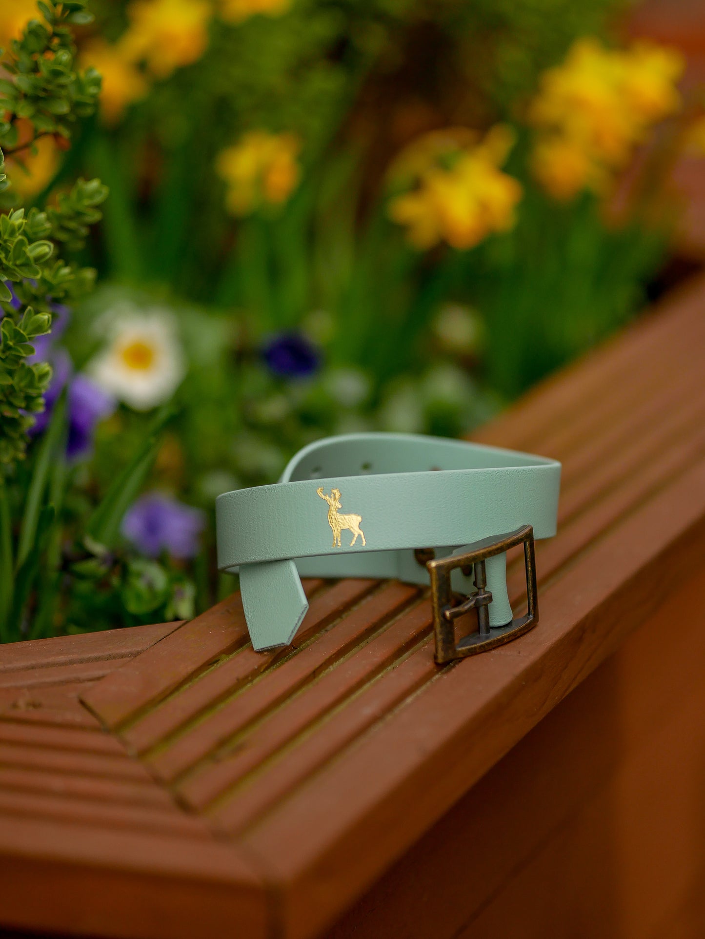 Noble (Sage) - Foil Embossed Explorer Collar