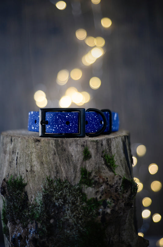 A Sea of Stars - Biothane Dog Collar