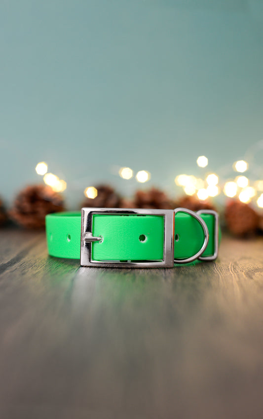 Neon Green - Explorer Collar