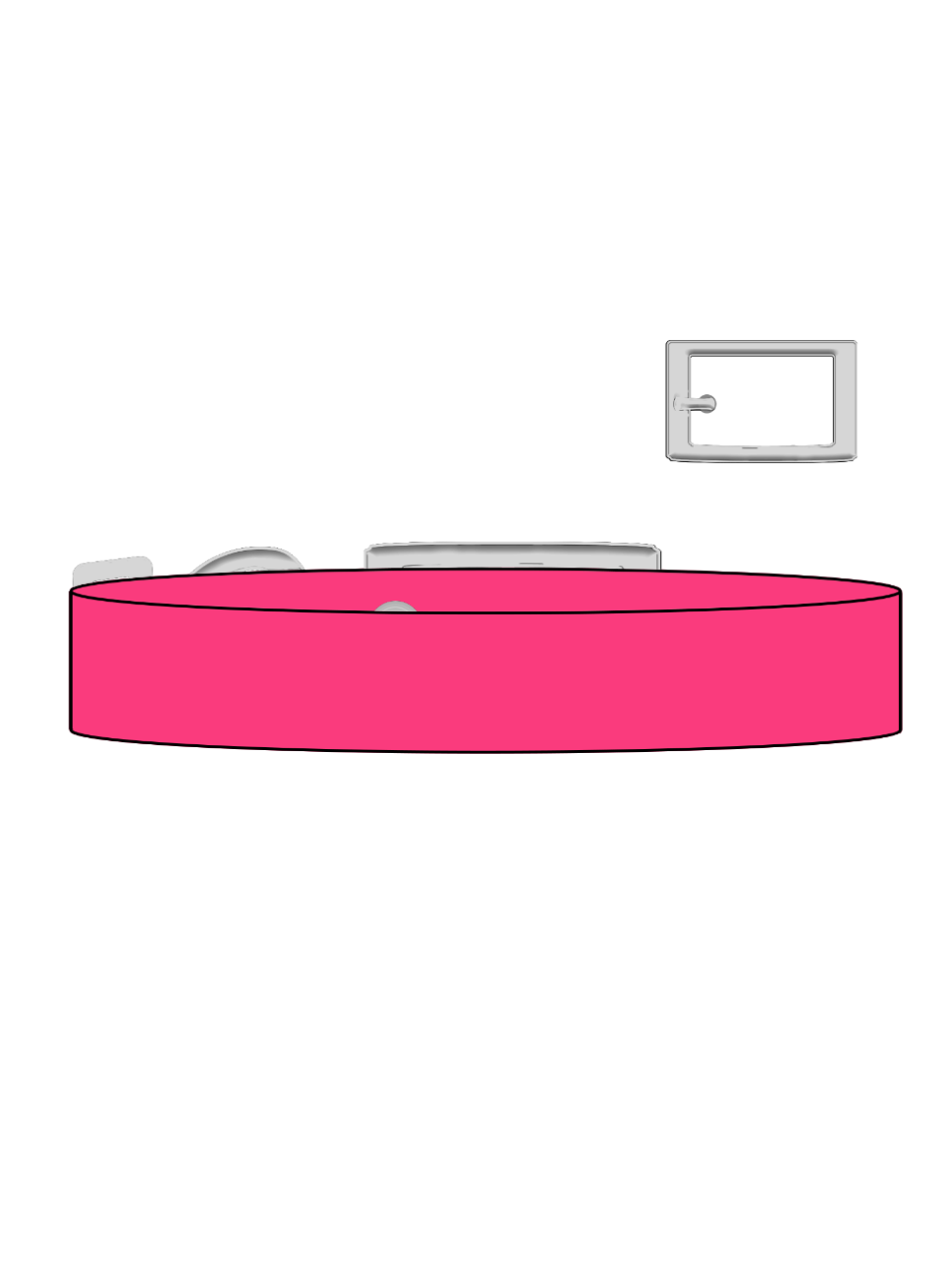 Neon Pink - Explorer Collar