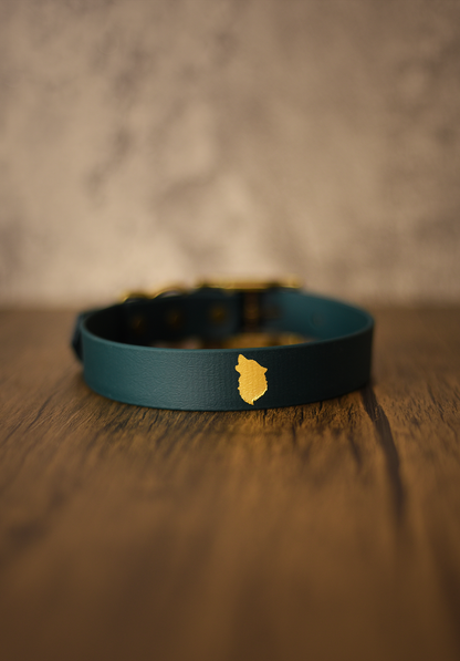 Alpha - Foil Embossed Explorer Collar