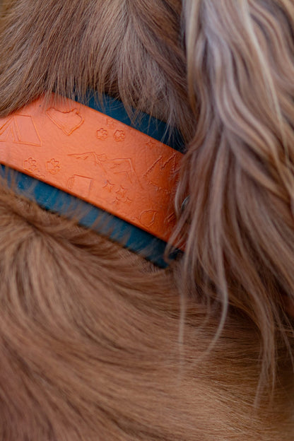 Lucky Dip Specialised Collar