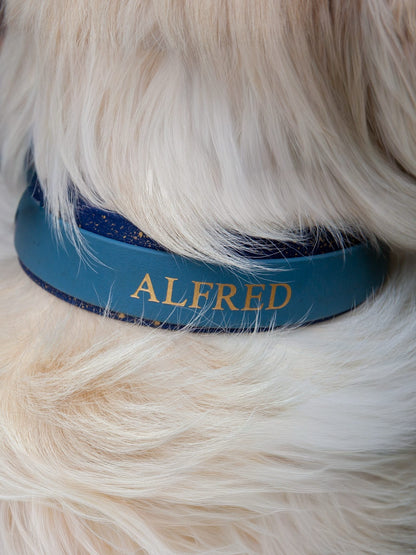 Lucky Dip Specialised Collar