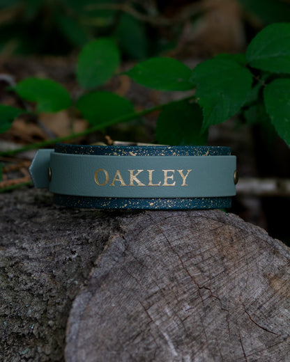 Lucky Dip Specialised Collar