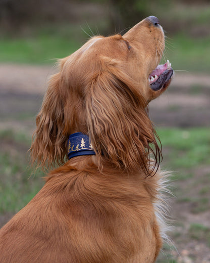 Fawn Hollow - Embossed Hound Collar
