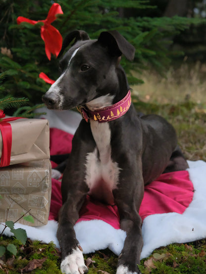 Fawn Hollow - Embossed Hound Collar