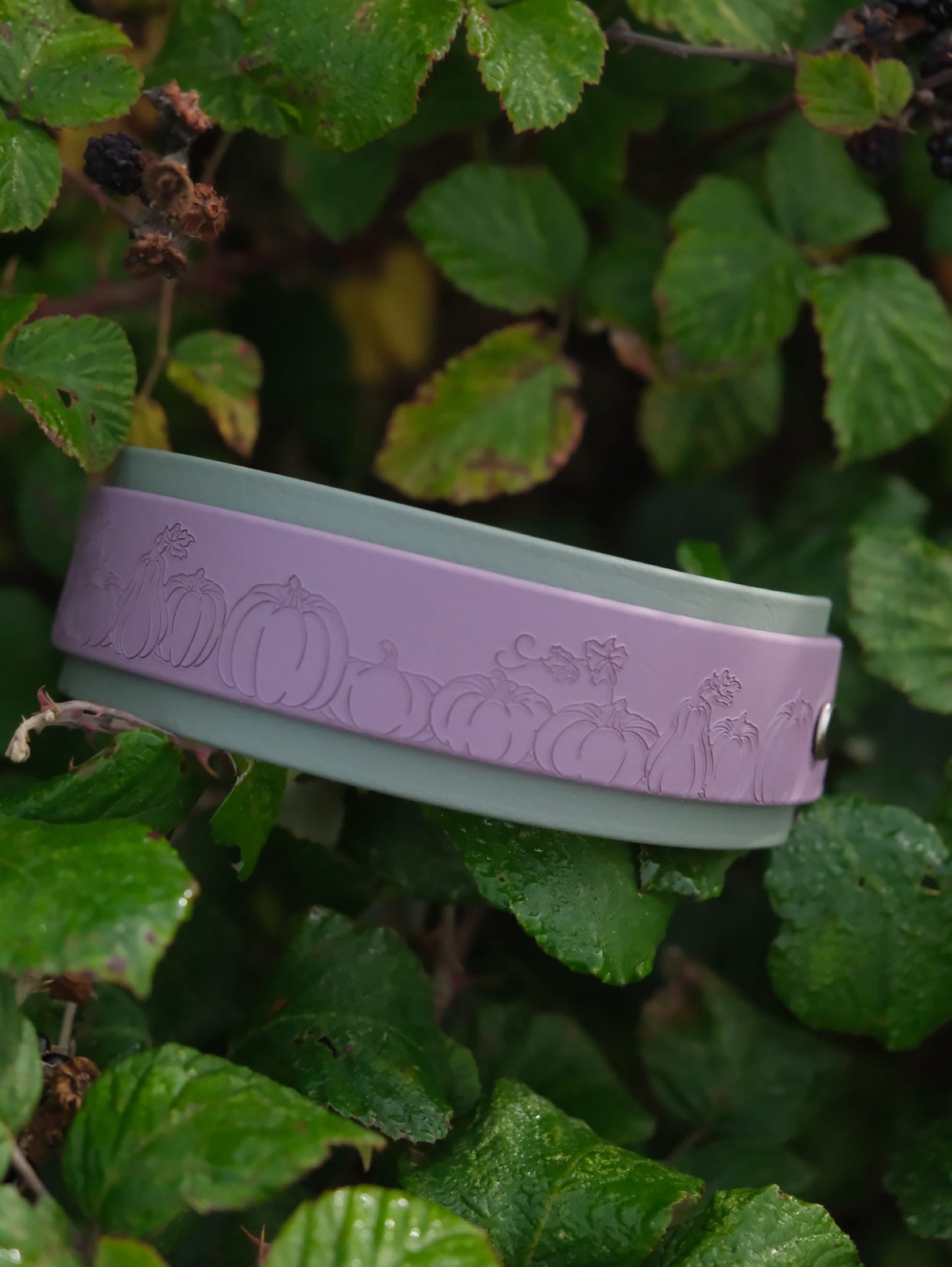 Lucky Dip Specialised Collar