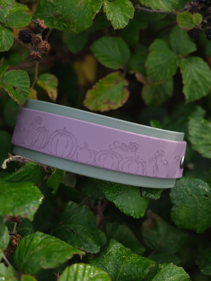 Lucky Dip Specialised Collar