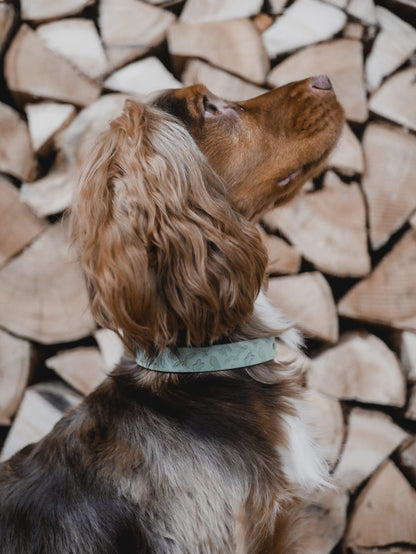 Night Owl - Embossed Explorer Collar