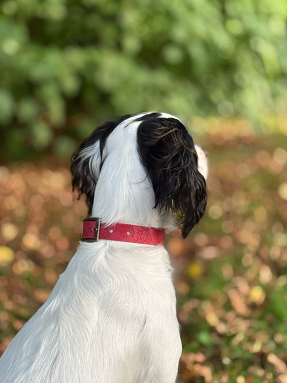 Holly Bush - Embossed Explorer Collar