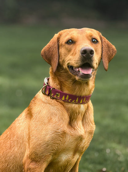 Fawn Hollow - Foil Embossed Explorer Collar