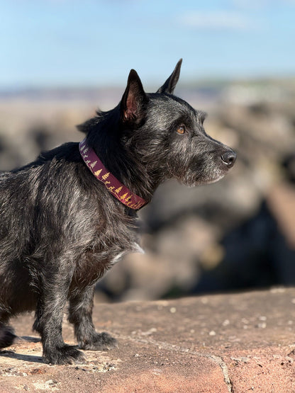 Fawn Hollow - Foil Embossed Explorer Collar