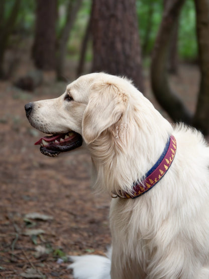 Fawn Hollow - Embossed Hound Collar