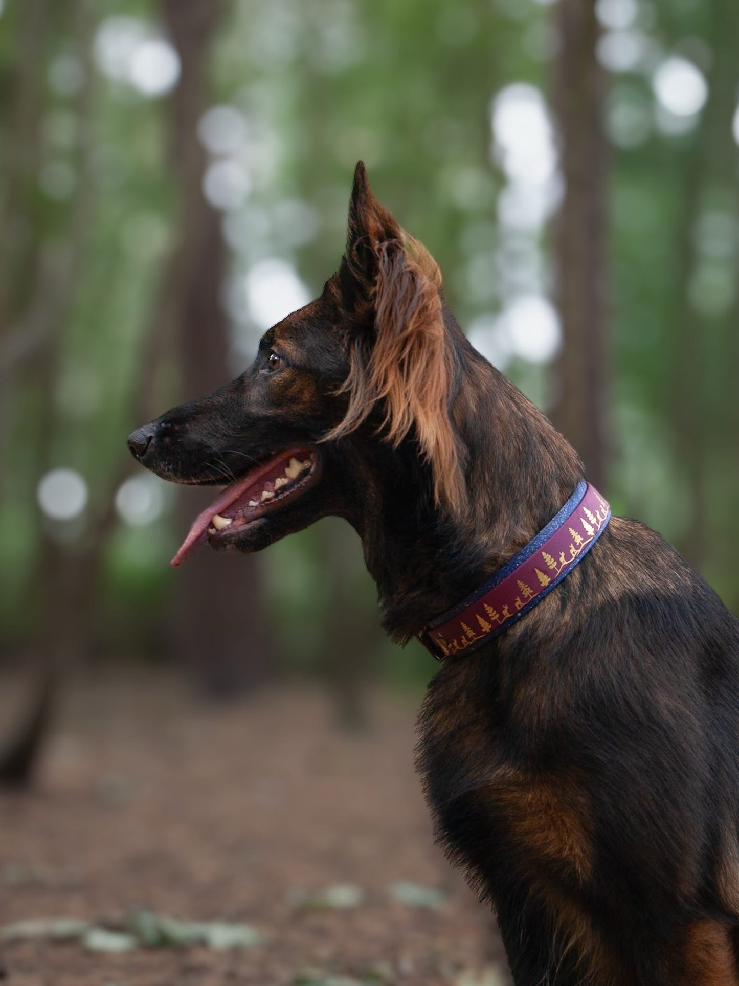 Fawn Hollow - Embossed Hound Collar