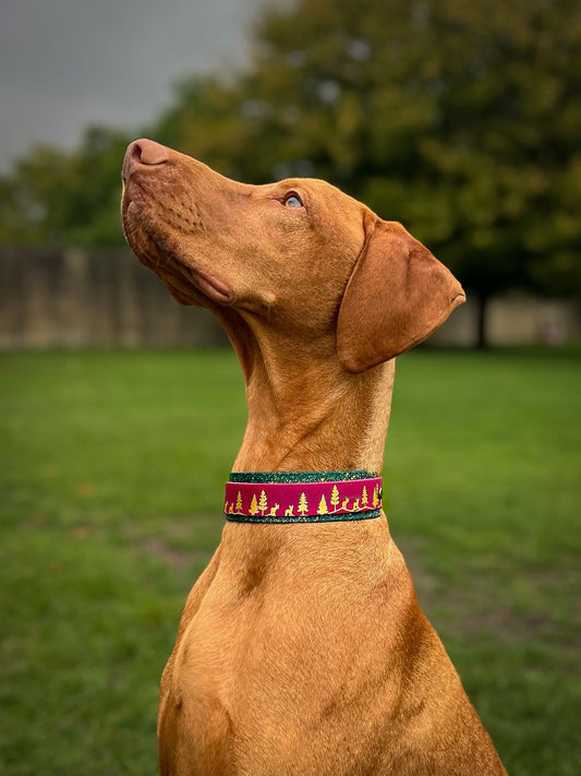 Fawn Hollow - Embossed Hound Collar