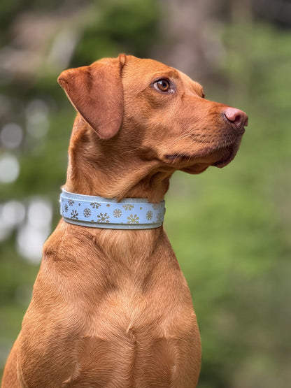 A Sprinkling of Snow - Embossed Hound Collar