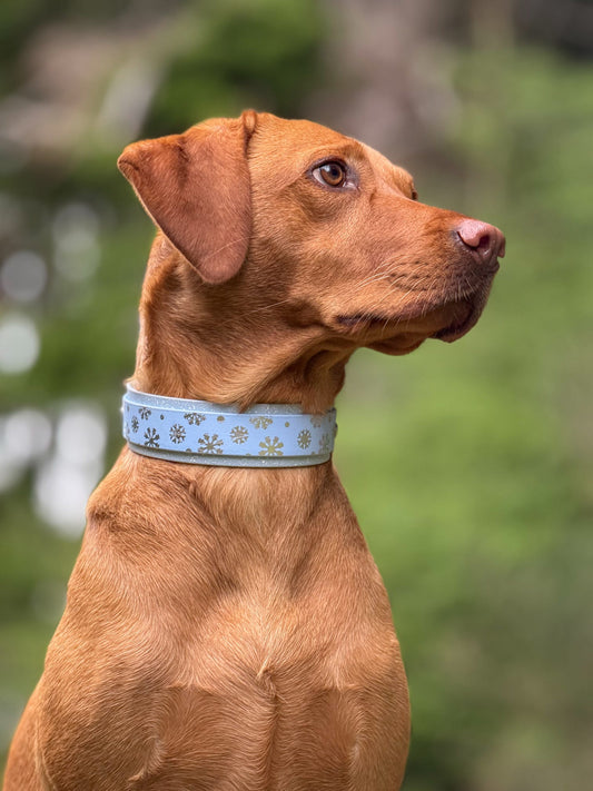 A Sprinkling of Snow - Embossed Hound Collar