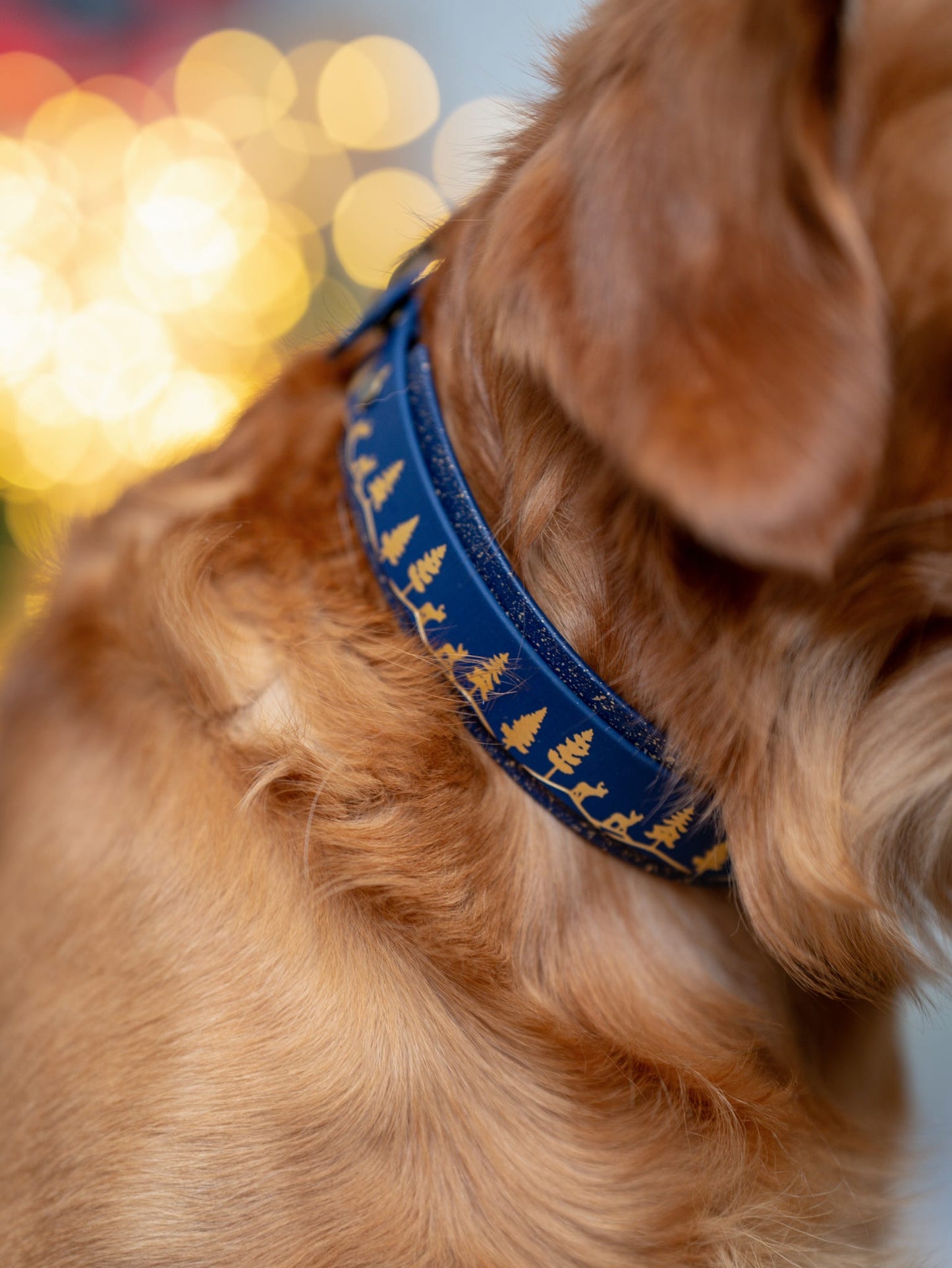 Fawn Hollow - Embossed Hound Collar