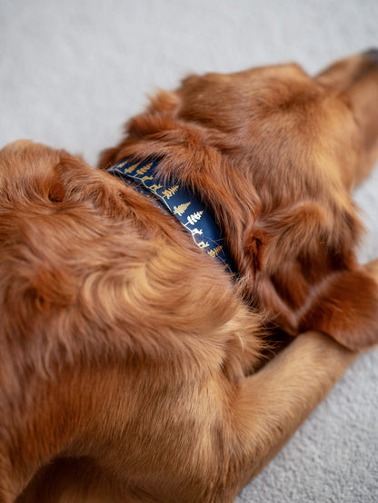 Fawn Hollow - Embossed Hound Collar