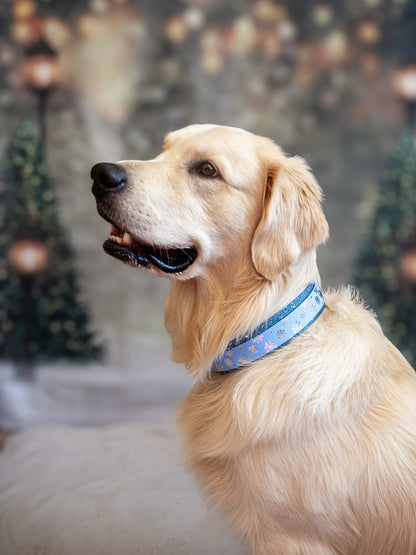 A Sprinkling of Snow - Embossed Hound Collar
