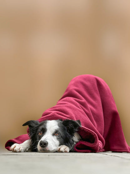 Merlot Luxury Dog Towel