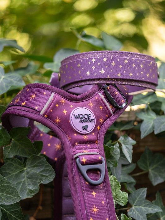 Starlight - Embossed Hound Collar