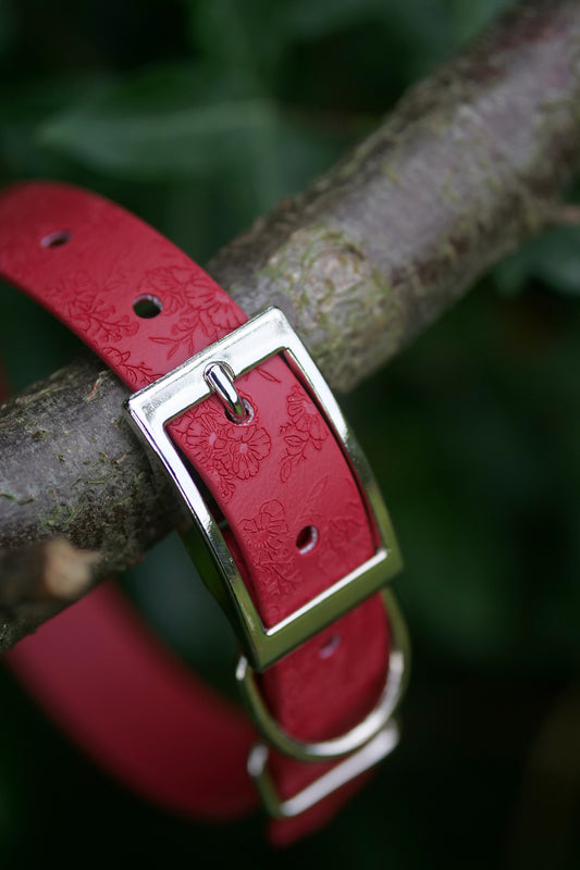 Wild Poppy - Embossed Explorer Collar