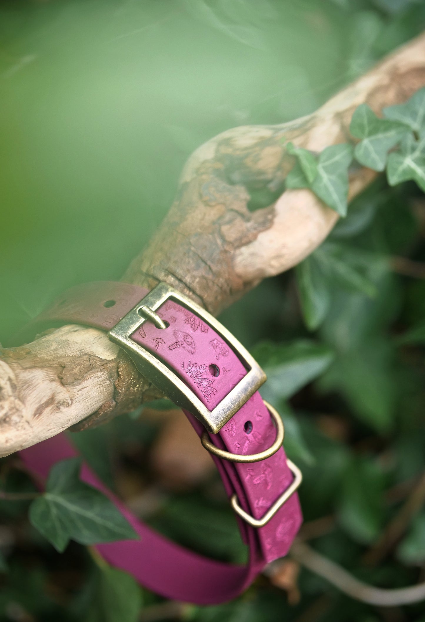 Mushroom Grove V2 - Embossed Explorer Collar