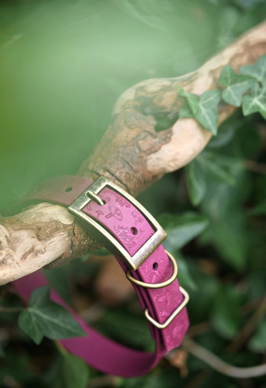Mushroom Grove V2 - Embossed Explorer Collar