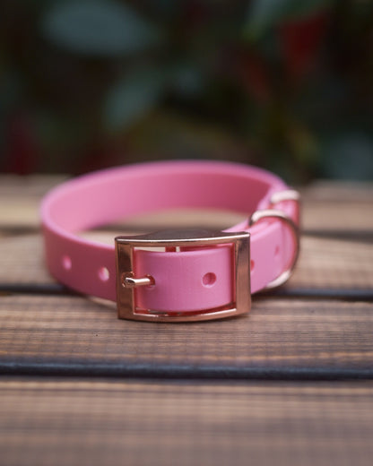 Sakura - Explorer Collar