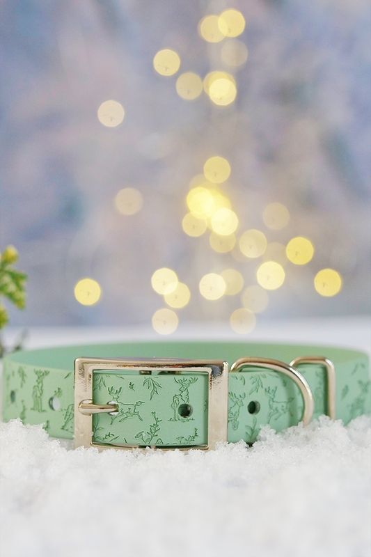 Cedar Stag - Embossed Explorer Collar