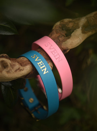 Personalised Pure Collars