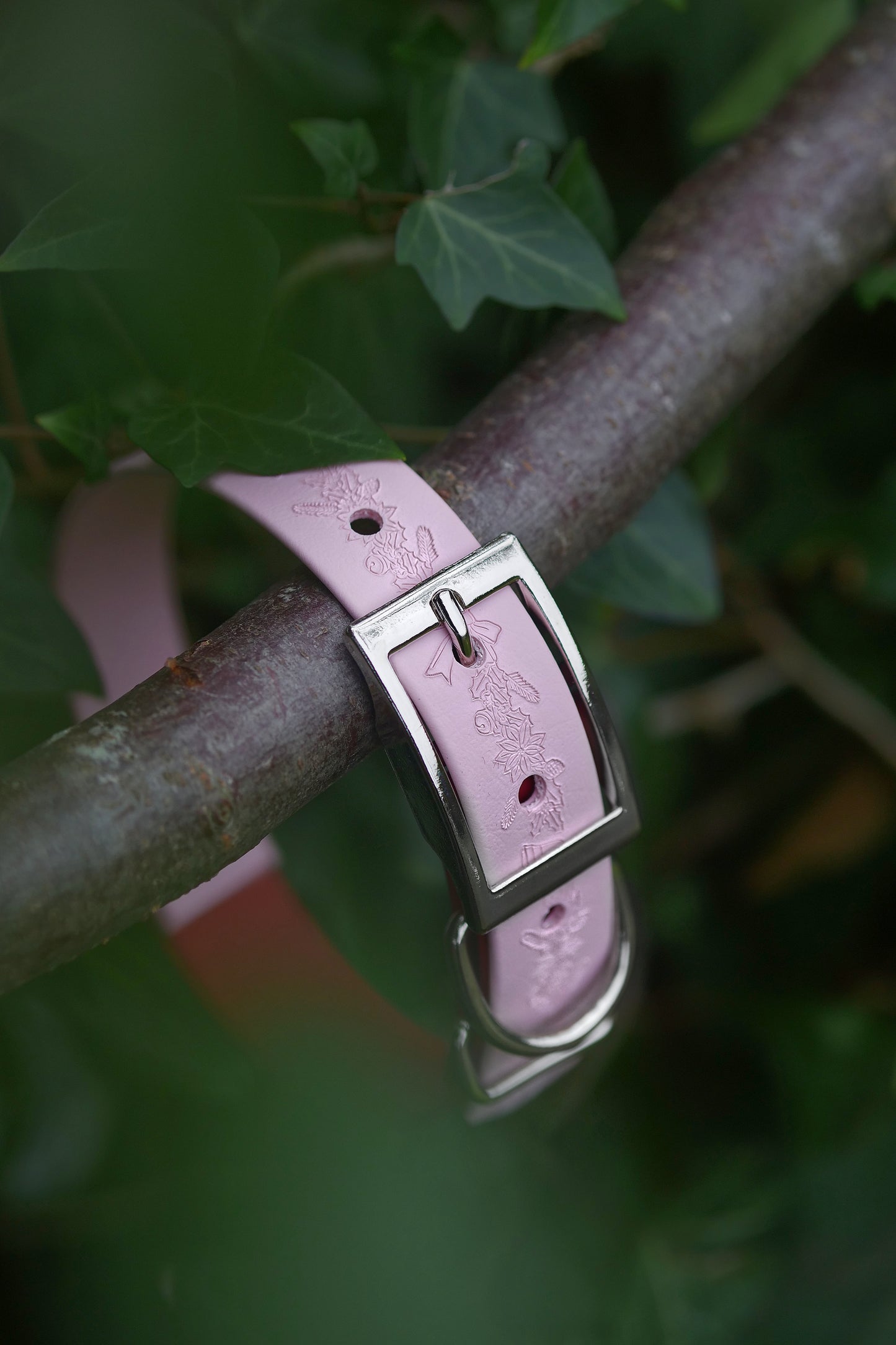 Yuletide - Embossed Arrow Collar