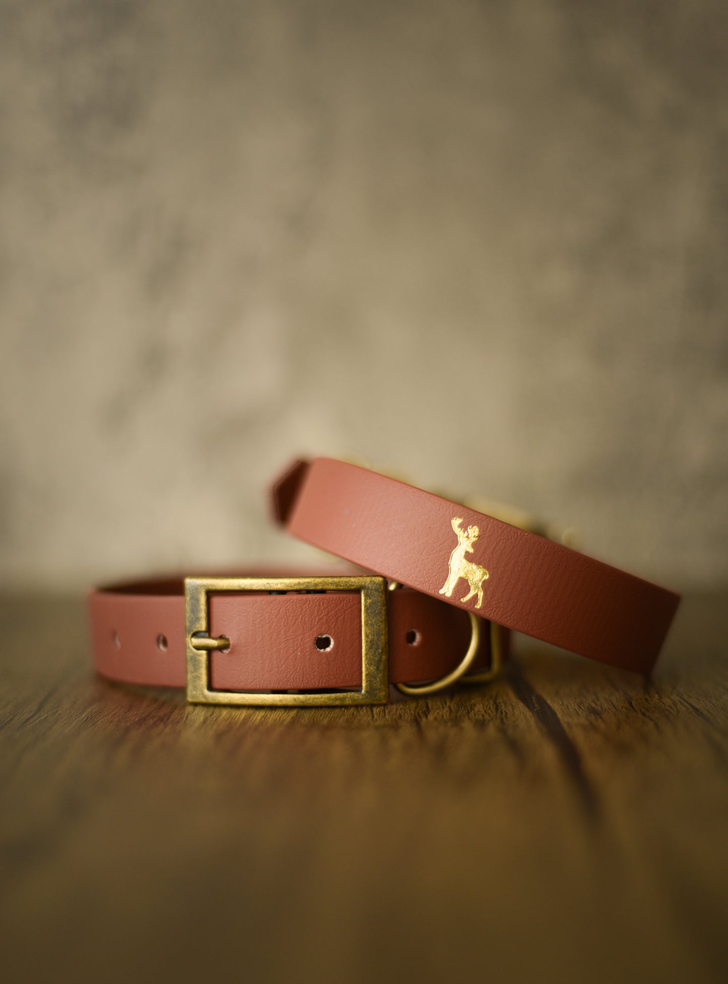 Noble - Foil Embossed Explorer Collar