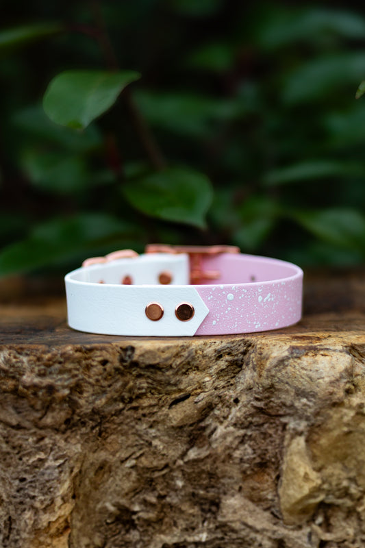 Frosted Petal S&Sp Explorer Collar