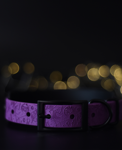 Spellbound - Embossed Hound Collar