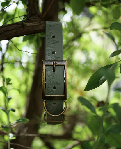 Forest Haven - Embossed Explorer Collar