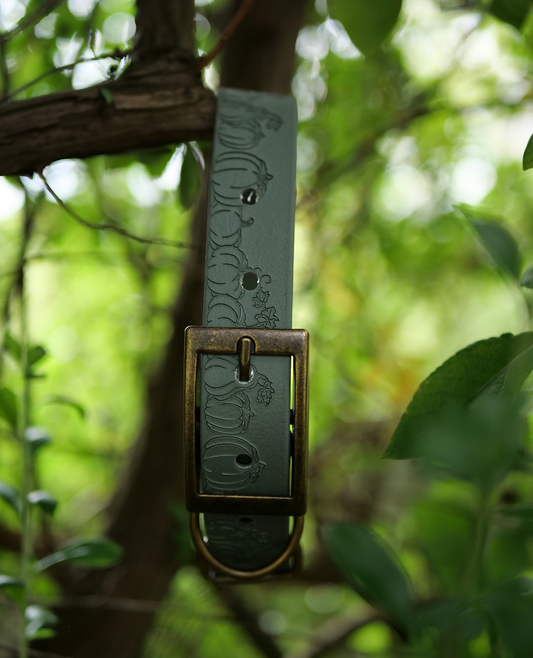 Pumpkin Patch - Embossed Explorer Collar