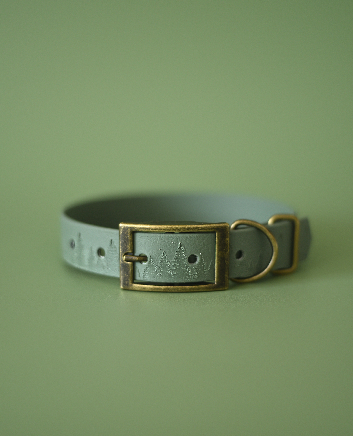 Forest Haven - Embossed Explorer Collar