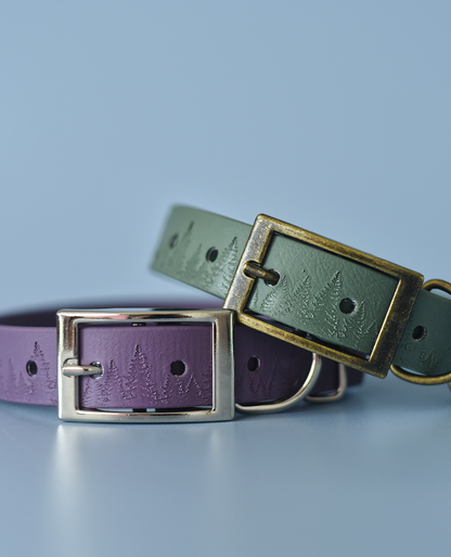 Forest Haven - Embossed Explorer Collar
