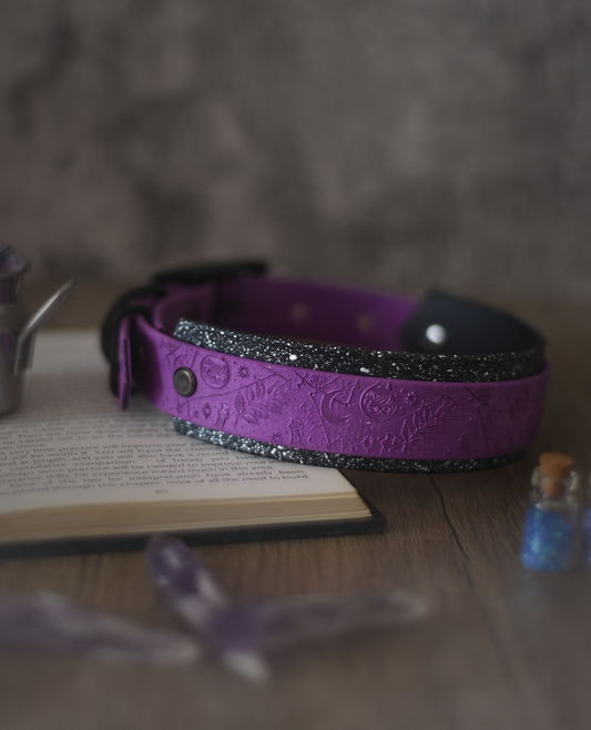 Spellbound - Embossed Hound Collar