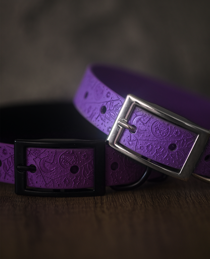Spellbound - Embossed Hound Collar