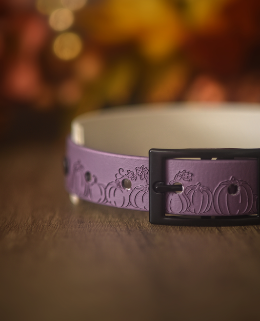 Pumpkin Patch  - Embossed Hound Collar