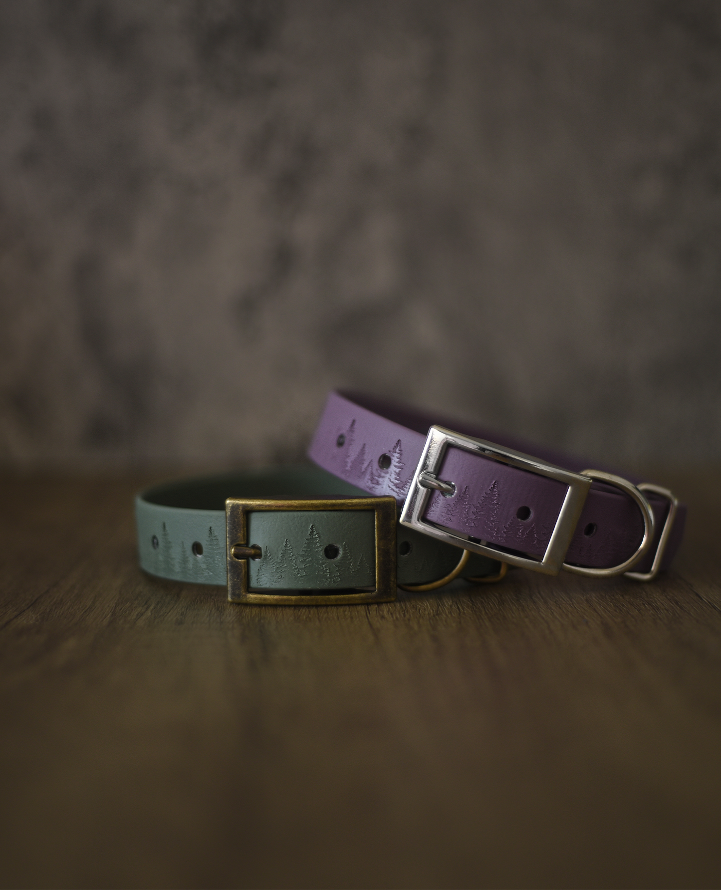 Forest Haven - Embossed Explorer Collar